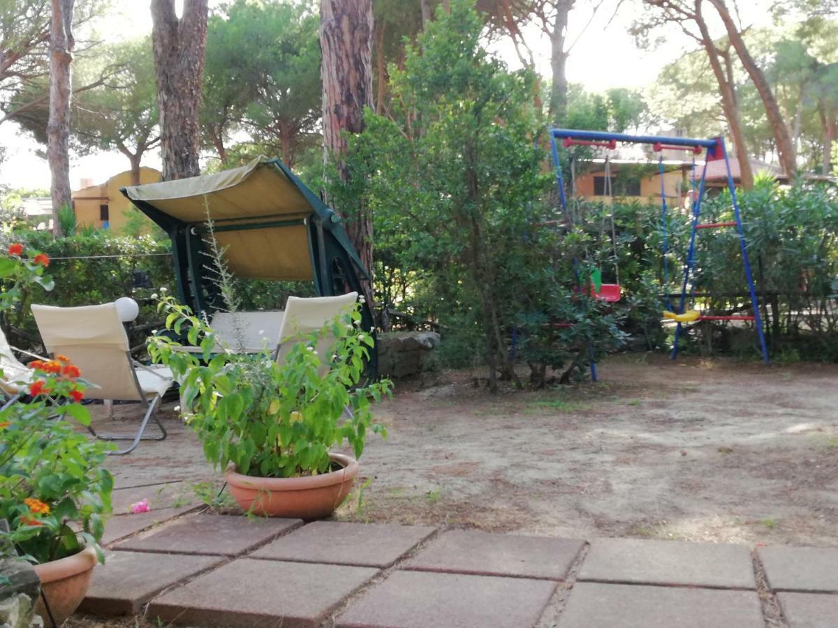 Oleandri Calaverde Sardegna Iun P1641 بولا المظهر الخارجي الصورة